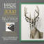 Impression encadrée Handsome Whitetail I-Premium - prête à être accrochée - aucun clou requis - aucun clou requis-405950744-405950745