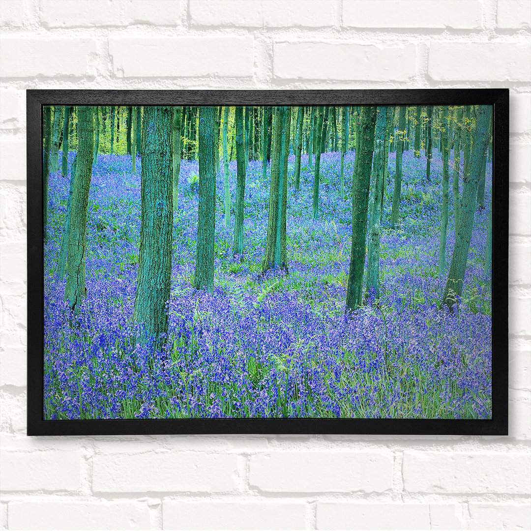 Bluebells In The Forest - Closed Corner Frame Kunstdrucke auf Holz