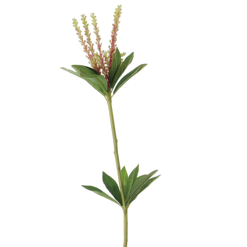 Arrangement