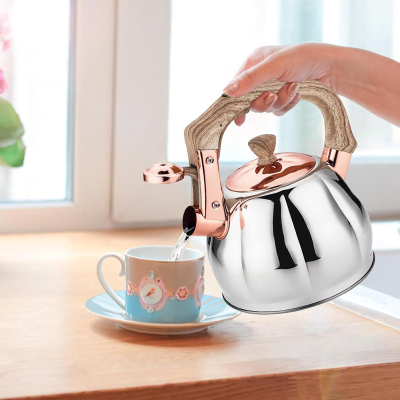 Bouilloire à sifflet en acier inoxydable avec base à 5 couches, déclenchement à une main, compatible avec toutes les cuisinières