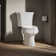 Wellworth® 1.28 GPF (Water Efficient) Round Two-Piece Toilet  (Seat Not Included)