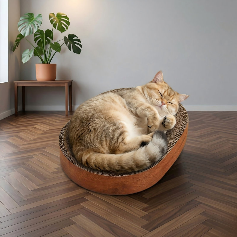 Lit à griffer oval en carton pour chat