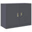 Storage Cabinet-451121084