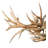 10 - Light Dimmable Chandelier