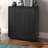 Mansfield Accent Cabinet-1682043344