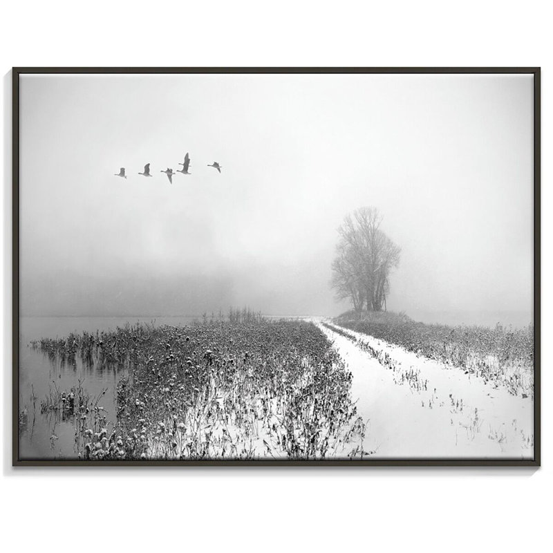 Print on Canvas, 41cm H x 51cm W, Black Floater Frame