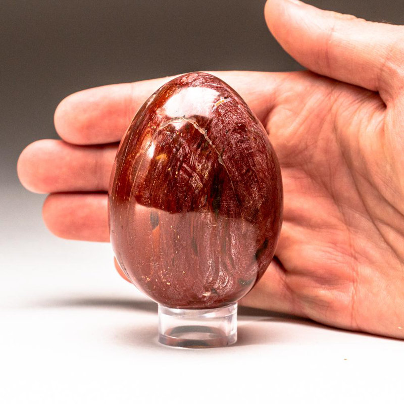 Petrified Wood Egg, Yellow/Brown, 3" H x 2" W x 2" D