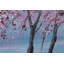 Hand -painted cherry blossom night acrylic painting