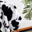 Couverture en flanelle -1741155013-1661995709