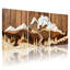Landscape & Nature-501513453