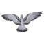 AILES DE PIGEON-1073083669