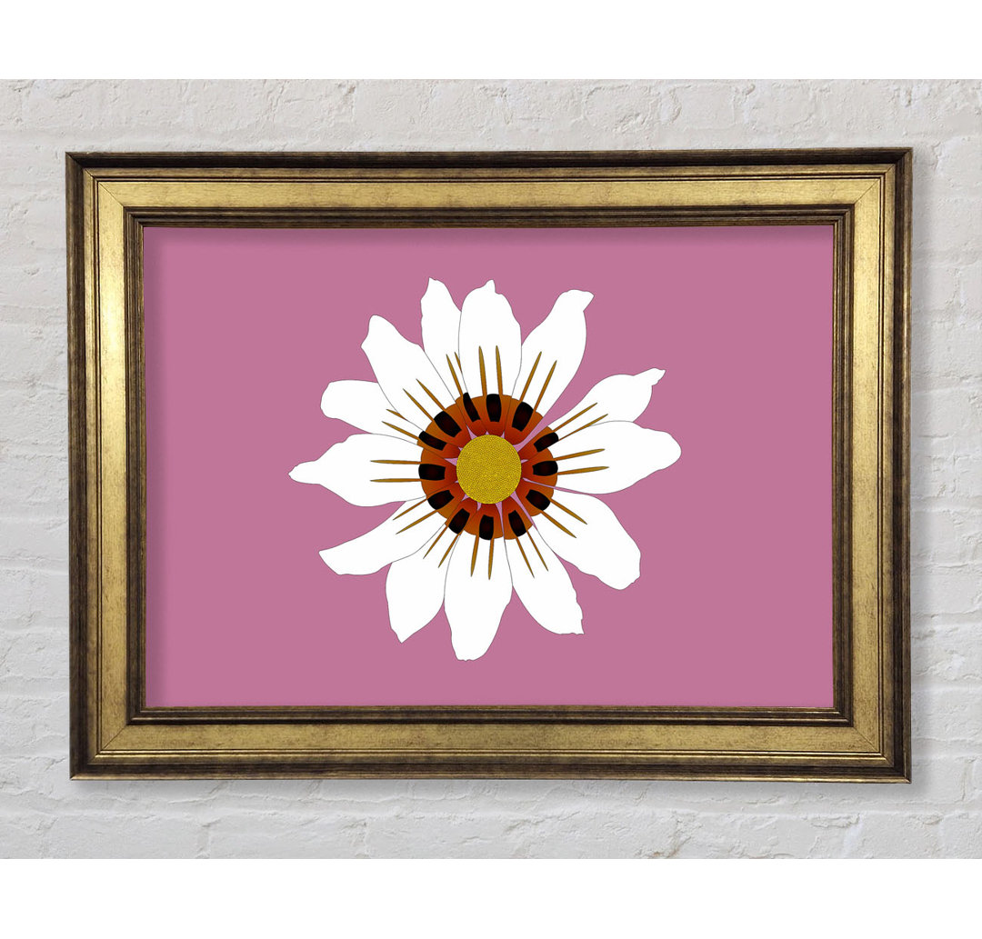 White Daisy Pinks - Druck