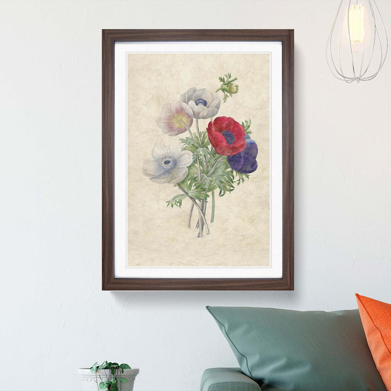 Anemone Flowers by Pierre-Joseph Redoute - Single Picture Frame Painting, Walnut Framed, 33cm H x 24cm W x 2cm D