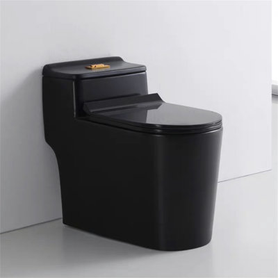 Dual-Flush Elongated One-Piece Toilet (Seat Included)