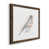 Walnut Framed selected