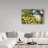 Modern & Contemporary-31329768