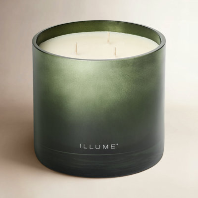 Statement Glass Candle, Balsam & Cedar