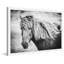 Single Picture Frame Painting-19492204-19492205