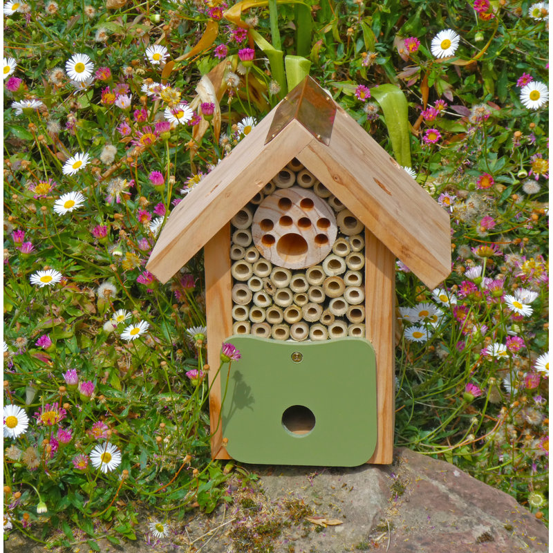 Abeille grange