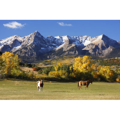 Uncompahgre National Forest by Donyanedomam - Wrapped Canvas Print