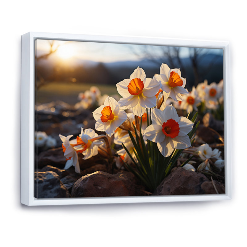 Daffodils Field Sunset II - Floral Wall Decor, H 34 po x l 44 po, Cadre photo noir