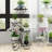 Secrist Solid Wood Plant Stand 5 Tier