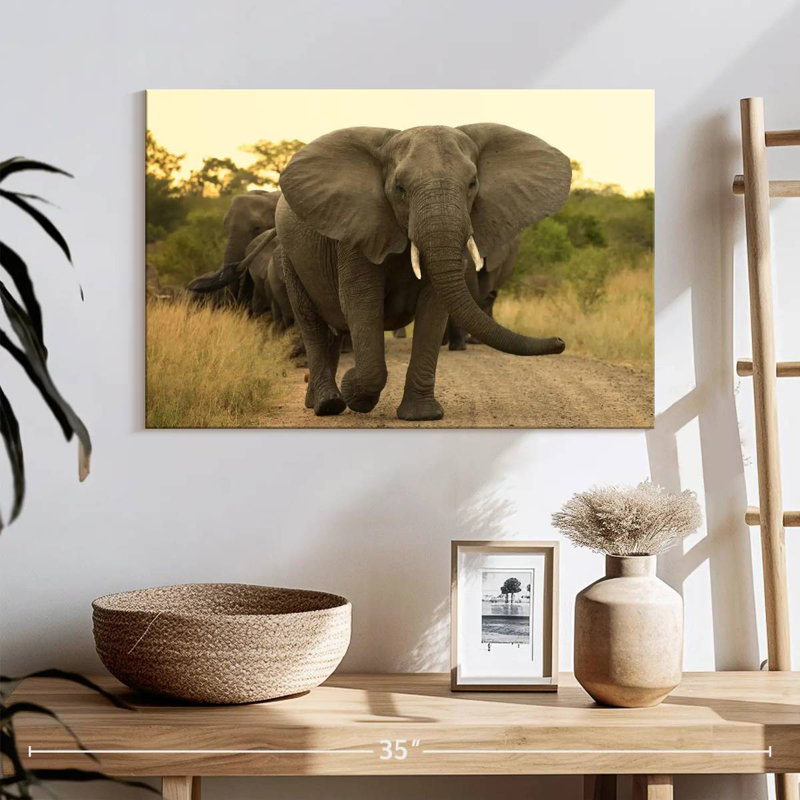 Brampt The Elephant Walk, H 16 po x l 24 po