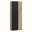 Shilu 2 Door Manufactured Wood Wardrobe-1852574089