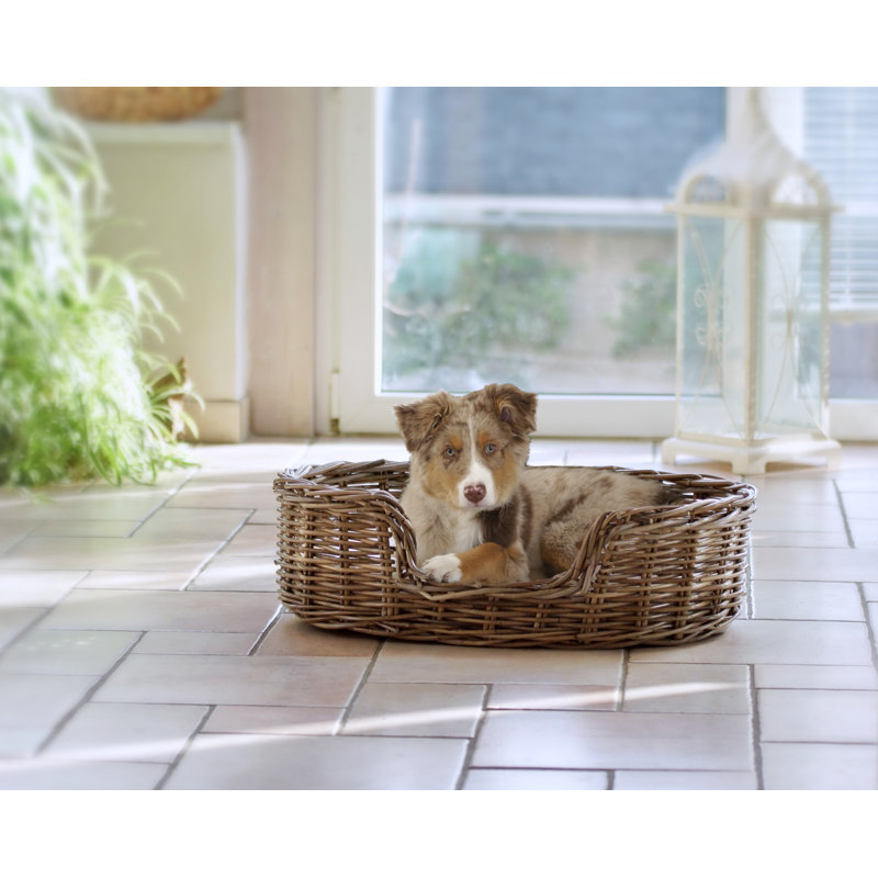Rebeca Wicker Pet Bed, 23cm H x 77cm W x 55cm D
