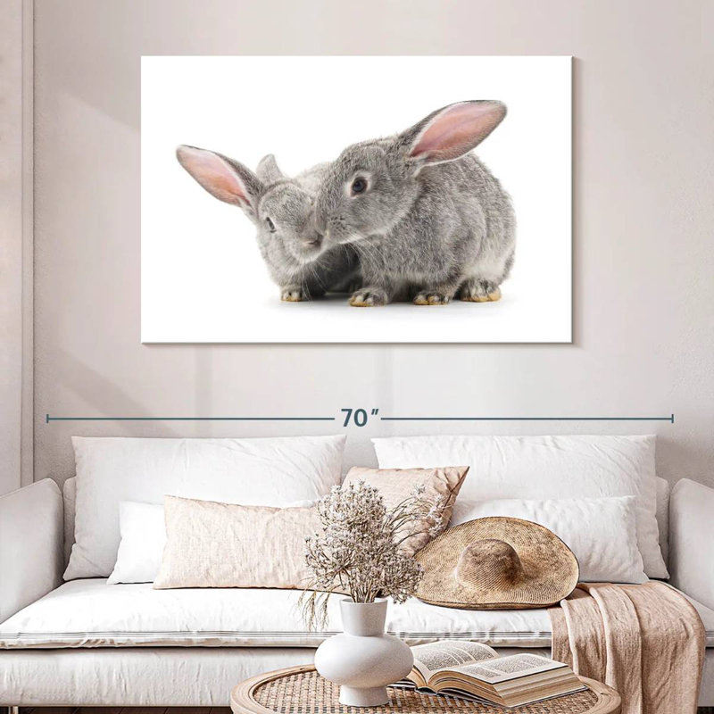 Deux bébés lapins