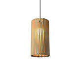 Living Hinges 1 - Light Pendant