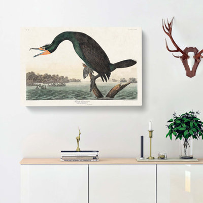 Florida Cormorant Bird - Wrapped Canvas Print