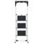 Step Ladder