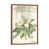 Classic Brown Framed Canvas
