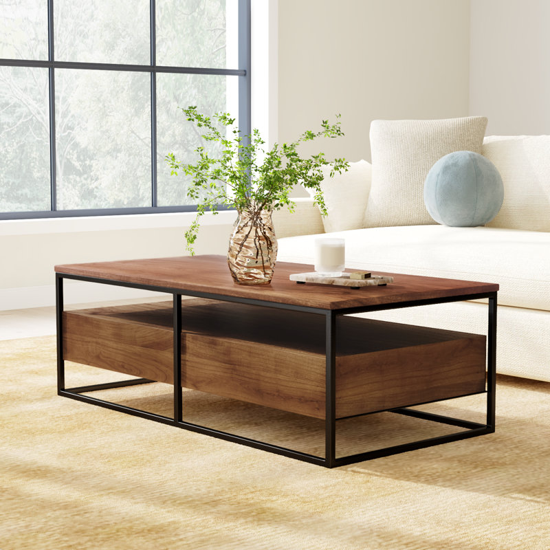 Paulette Solid Wood Frame Coffee Table with Storage
