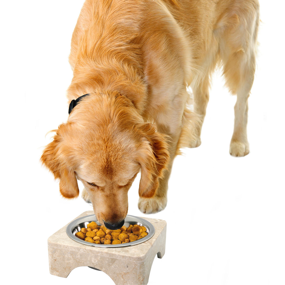 Pet Bowl Creative Home