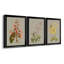 «Botanical Array I», ensemble de 3 impressions sur toile encadrées-1436849548-1436849648
