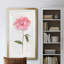Pivoine II - Cadre photo, reproduction d'art sur papier-557836932-557836935