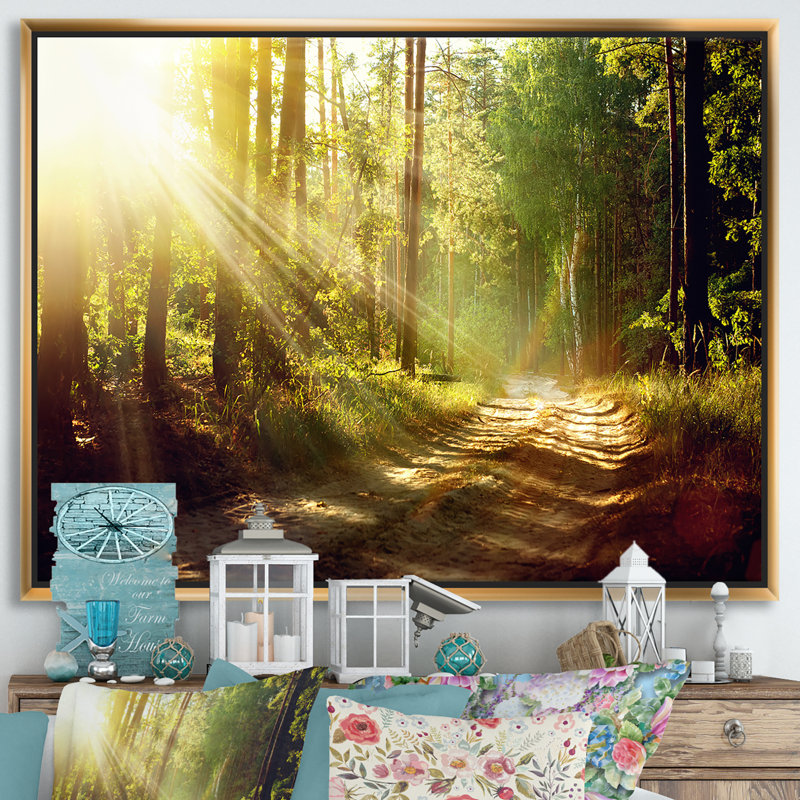Sun Rays in Misty Old Forest - reproduction de photo sur toile, Toile encadrée d'or, H 24 po x l 32 po x P 1 po