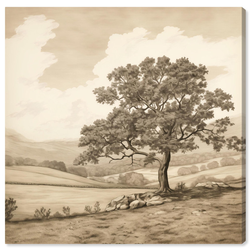 Forested Antiquity Gallery Wrapped Canvas Landscape Art, 20" x 20"