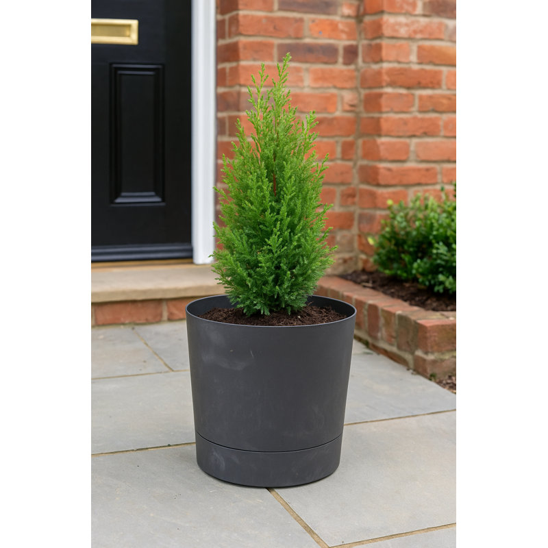 Suvanna Pot Planter, Black, 39.9cm H x 38cm W x 38cm D