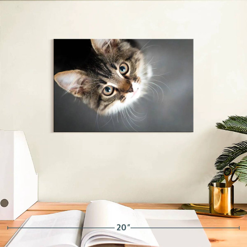 A Cat, 8" H x 12" W