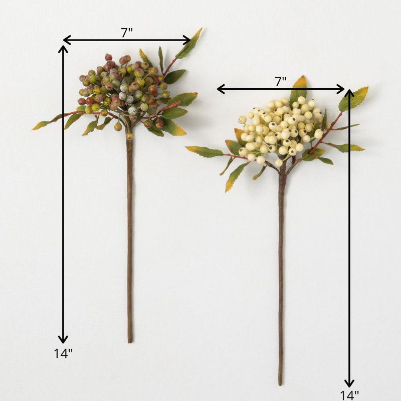 Berries Arrangement