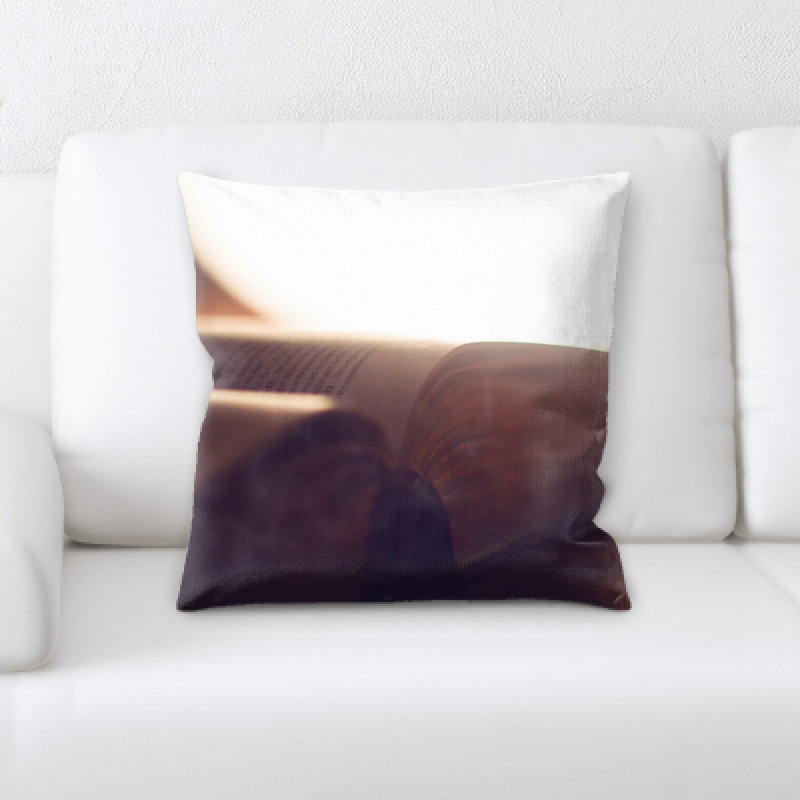 Coussin décoratif flou