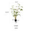 Faux Bamboo Tree in Pot-1779813306