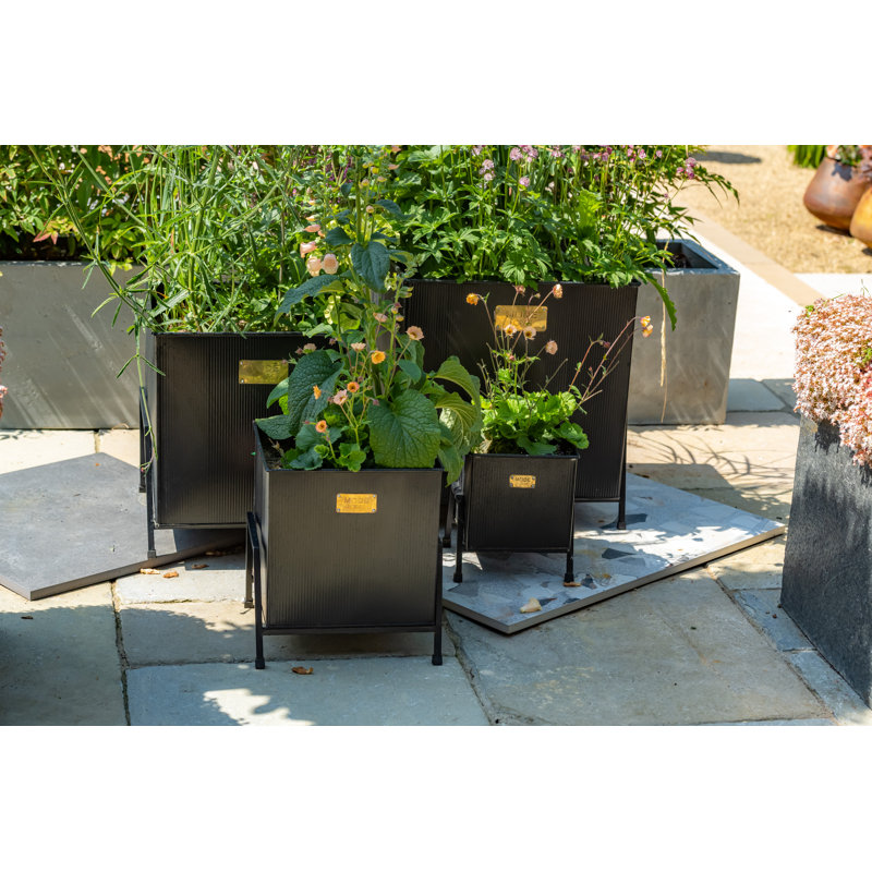 Haninah Metal Planter Box, Medium
