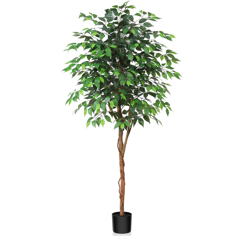 Annaliisa Faux Tree, 180cm H x 17.5cm W x 17.5cm D