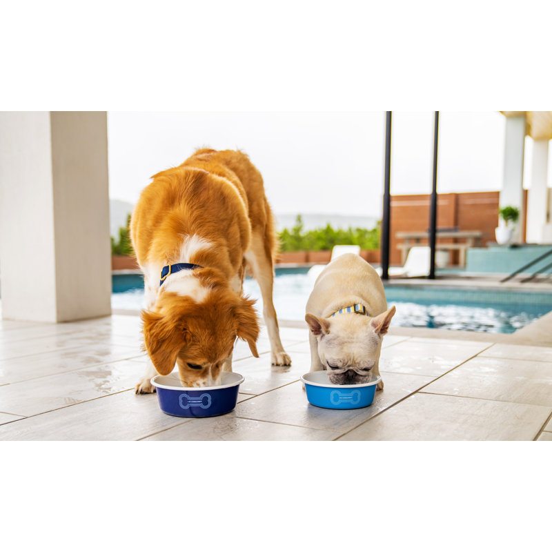 Pet Dog Bowl, Carmin, Large (6 cups)