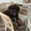 Tabourets de bar et de comptoir d'extérieur Aleza avec coussin souple imperméable-406576256-406576257-406576261