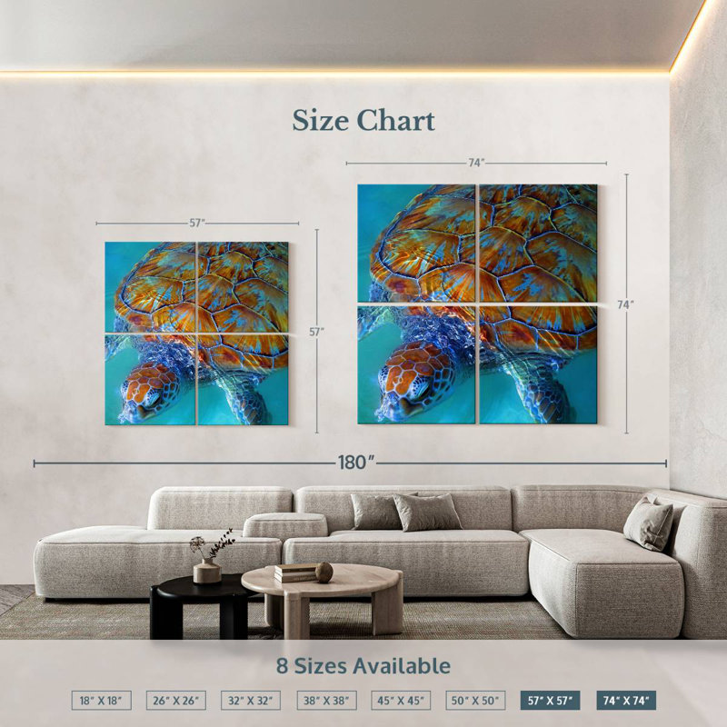 Brampt Cayman Sea Turtle, 57" H x 57" W